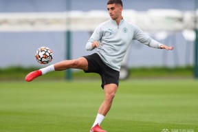 皇冠体育-尼斯冲刺阶段伤情更新；志在国王杯名次提升；话题不断；球队文化再被提及-皇冠体育